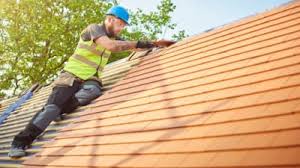 Best Sheet Metal Roofing  in Mount Morris, MI