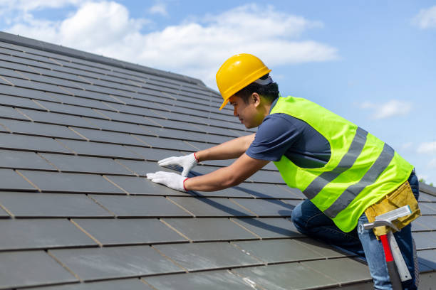 Steel Roofing in Mount Morris, MI