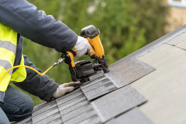 Best Chimney Flashing Repair  in Mount Morris, MI