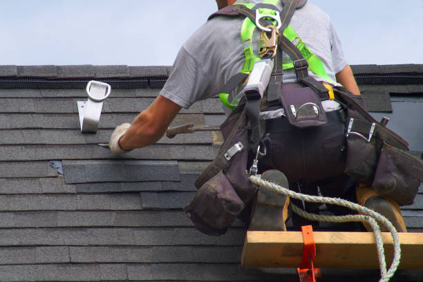 Best Emergency Roof Repair Services  in Mount Morris, MI
