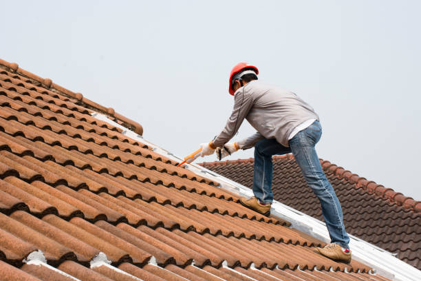 Best Wood Shake Roofing  in Mount Morris, MI