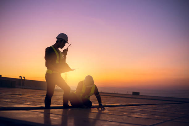 Best Flat Roofing  in Mount Morris, MI