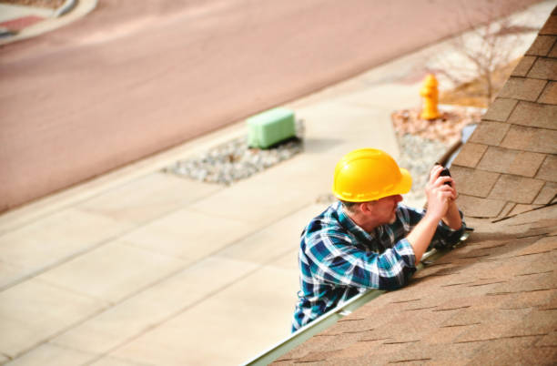 Best Roof Moss and Algae Removal  in Mount Morris, MI