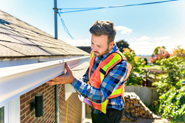 Best Asphalt Shingle Roofing  in Mount Morris, MI