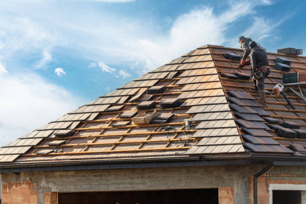 Best Roof Insulation Installation  in Mount Morris, MI