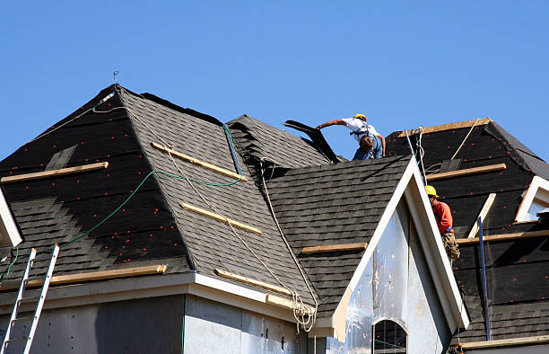Best Metal Roofing Installation  in Mount Morris, MI