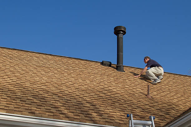 Best Storm Damage Roof Repair  in Mount Morris, MI