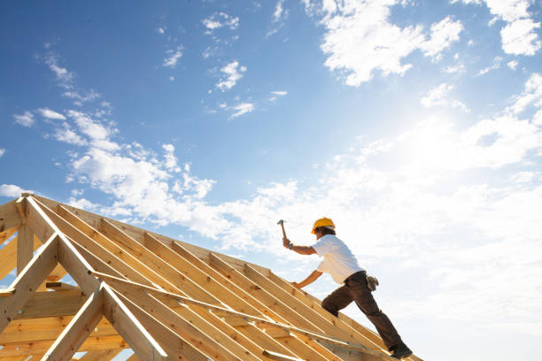Best Rubber Roofing (EPDM, TPO)  in Mount Morris, MI