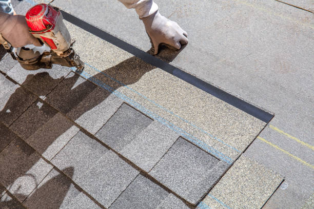 Best Roof Coating and Sealing  in Mount Morris, MI